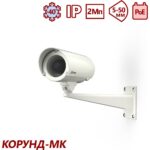 Тахион ТВК-61-IP-5-V550-PoE